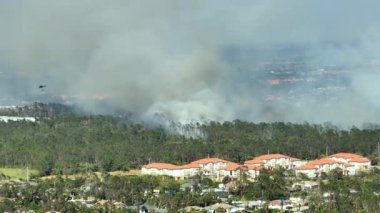 Florida orman ormanlarında şiddetli yangın söndüren acil servis helikopteri. Polis helikopteri ormanda alevleri söndürmeye çalışıyor. Zehirli duman kirletici atmosfer.