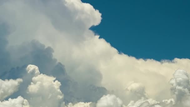 Timelapse White Puffy Cumulus Clouds Forming Summer Blue Sky Moving — Stock Video