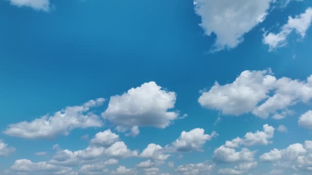 Biały Puszysty Cumulus Chmury Letnim Błękitnym Niebie — Wideo stockowe