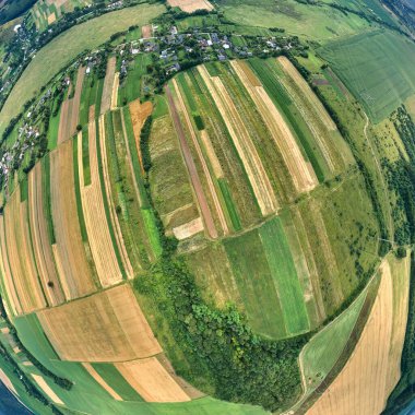 Yeşil ve sarı ekili tarlaların hava manzarası. Parlak yaz gününde ekinlerin büyüdüğü tarlalar..