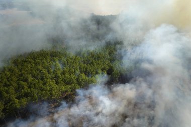 Orman yangınından yükselen beyaz dumanların hava manzarası atmosferi kirletiyor. Doğal afet kavramı.