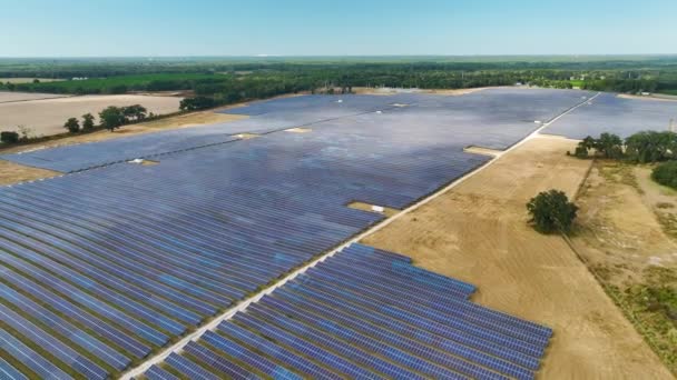Luftaufnahme Eines Großen Nachhaltigen Kraftwerks Mit Vielen Reihen Von Photovoltaikmodulen — Stockvideo