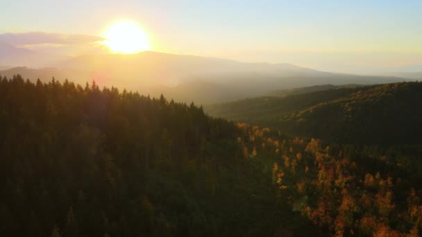 喀尔巴阡山群山的空中景色 松林灯火通明 美丽的自然景观 — 图库视频影像