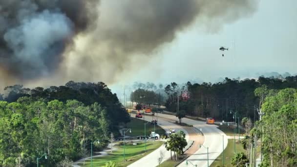 Вертолет Пожарной Охраны Пожарные Тушат Пожары Сильно Пылающие Джунглях Флориды — стоковое видео