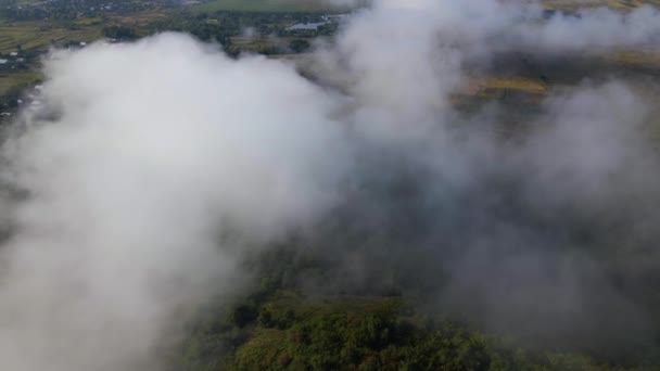 Aerial View Morning Fog Green Wooded Landscape High Humidity Causing — Video