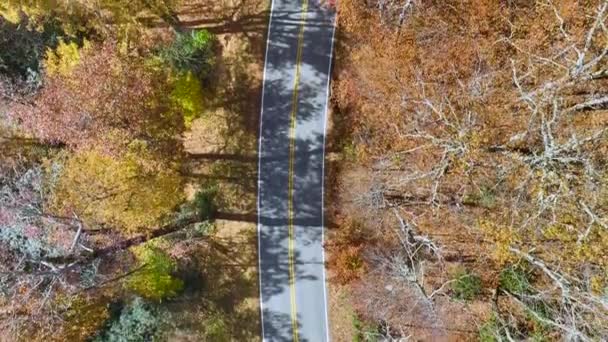 Αεροφωτογραφία Ενός Αυτοκινήτου Οδήγηση Γραφική Blue Ridge Parkway Δρόμο Στα — Αρχείο Βίντεο