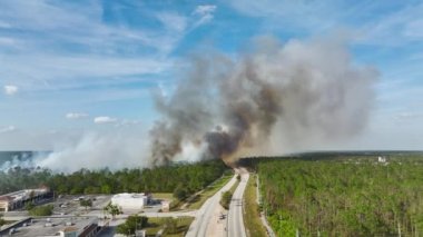 Florida 'nın kuzey liman şehrinde şiddetli yangınların hava manzarası. Orman ormanlarında kurak mevsimde yaşanan doğal afet..