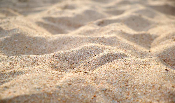 Close Clean Yellow Sand Surface Covering Seaside Beach Illuminated Day — Stock fotografie