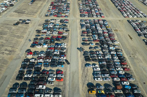 Μεταχειρισμένα Κατεστραμμένα Αυτοκίνητα Πλειστηριασμό Μεταπωλητή Εταιρεία Μεγάλο Χώρο Στάθμευσης Έτοιμο — Φωτογραφία Αρχείου
