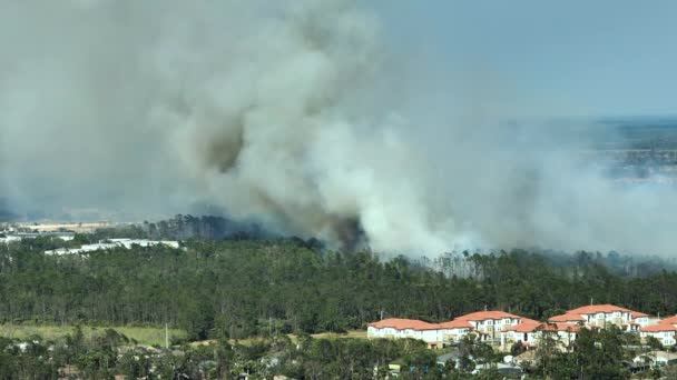 Вид Сверху Тусклый Лесной Пожар Сильно Пылающий Норт Порт Сити — стоковое видео