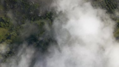 Aerial view from above of morning fog over green wooded landscape. High humidity causing air condensing in mist over land.