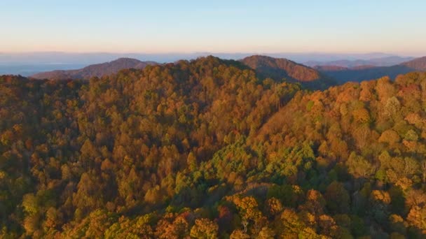 Вид Воздуха Аппалачские Горные Холмы Ярко Освещенными Пышными Сосновыми Лесами — стоковое видео