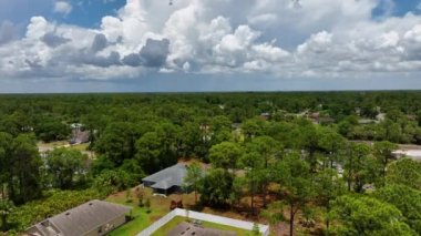 Florida 'nın sakin yerleşim bölgesinde yeşil palmiye ağaçları arasında özel evleri olan küçük bir Amerikan banliyö manzarası..