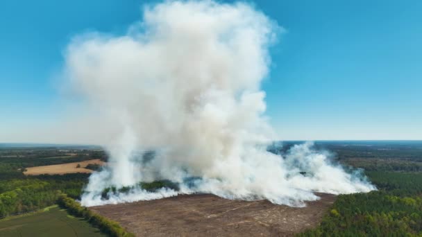 Erdőtűzből Származó Fehér Füst Légi Képe Emelkedik Fel Szennyező Atmoszférában — Stock videók