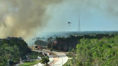 Florida ormanlarında yangın söndüren acil servis helikopteri ve itfaiye araçları. Polis helikopteri ormanda alevleri söndürmeye çalışıyor. Zehirli duman kirletici atmosfer.