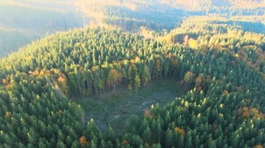 Top view of dark mountain hills covered with bare patches of cut down forest pine trees as result of deforestation process. Beautiful wild woodland at threat.