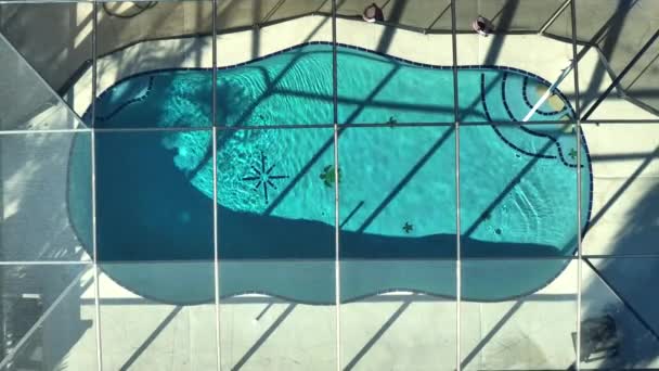 典型的当代美国大型游泳池在私人住宅的后院与外层拉奈墙覆盖 在佛罗里达夏日的阳光下 户外生活 在温暖的池水里玩乐的概念 — 图库视频影像