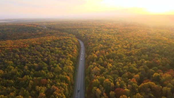 Pohled Shora Venkovské Silnice Mezi Barevnými Lesy Při Západu Slunce — Stock video