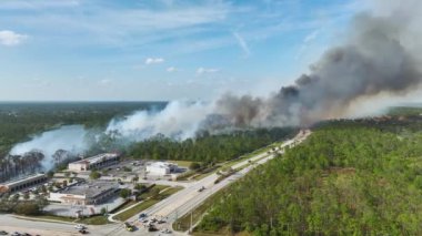 Kuzey Liman şehri Florida 'da şiddetli yanan lagre orman yangınının görüntüsü. Zehirli duman atmosferli ormanda sıcak alevler.