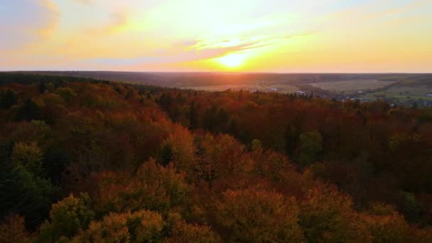 Widok Góry Kolorowych Lasów Zachodzie Słońca Żółte Pomarańczowe Baldachim Jesiennym — Wideo stockowe