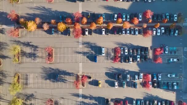駐車場の駐車場の多くの駐車場の上からの眺め ストリップモールセンターの前に車のための場所 — ストック動画