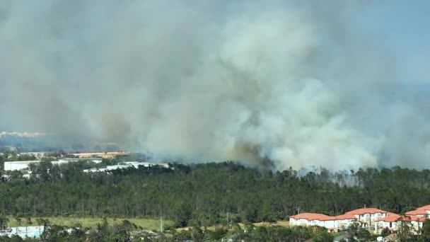 Letecký Pohled Silný Požár Severním Port City Floridě Přírodní Katastrofa — Stock video