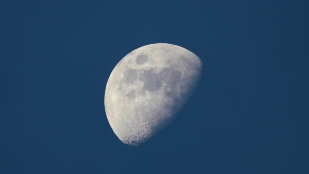 Luna Plină Strălucitoare Spatele Stratului Subțire Nori Care Mișcă Rapid — Videoclip de stoc
