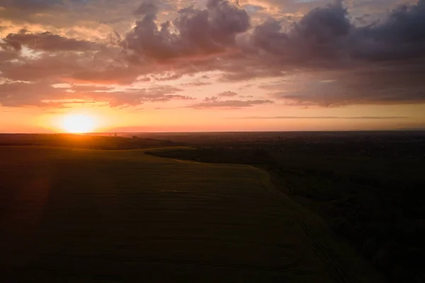 stock image Aerial landscape view of yellow cultivated agricultural field with ripe wheat on vibrant summer evening.