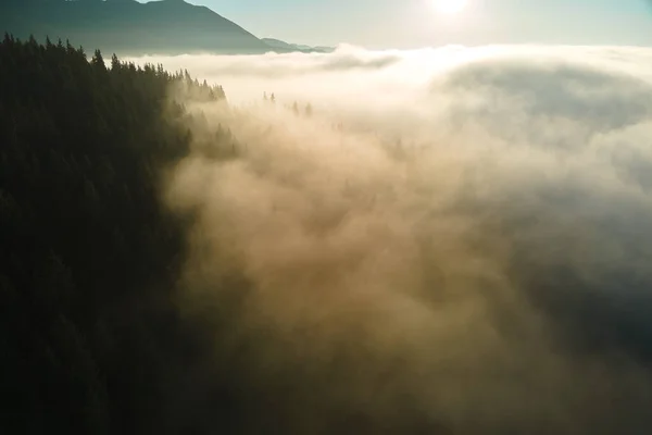 Luftaufnahme Eines Hellen Nebligen Morgens Über Dunklen Bergwaldbäumen Bei Sonnenaufgang — Stockfoto