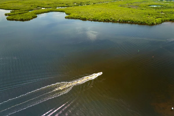 Felülnézet Kis Hajó Everglades Mocsarak Zöld Növényzet Között Vízbemenetek Természetes — Stock Fotó