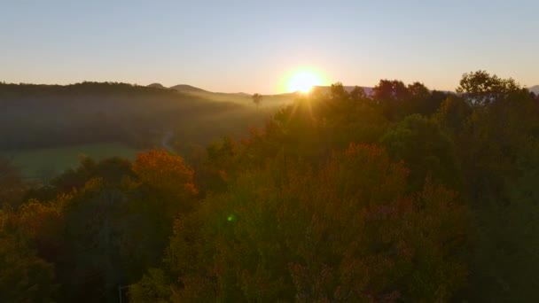 Aerial View Appalachian Mountain Hills Brightly Illuminated Lush Pine Woods — Stock Video