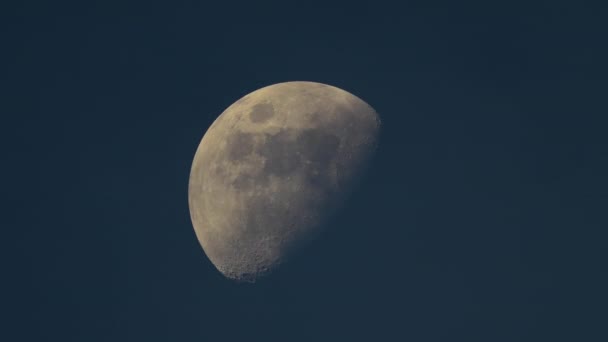 Heldere Volle Maan Achter Snel Bewegende Dunne Laag Wolken Nacht — Stockvideo