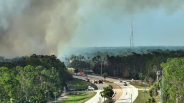 İtfaiye itfaiye araçları Florida ormanlarında şiddetle yanan yangını söndürüyor. Ormanda yangın söndürmeye çalışan acil servis araçları..
