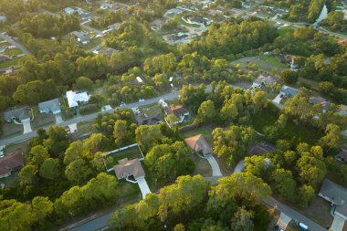 Florida sakin yerleşim bölgesinde yeşil palmiye ağaçları arasında özel evleri olan banliyö manzarası.