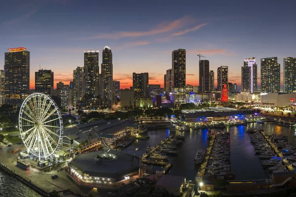 Americká Městská Krajina Noci Miami Marina Skyviews Pozorovací Kolo Bayside — Stock fotografie