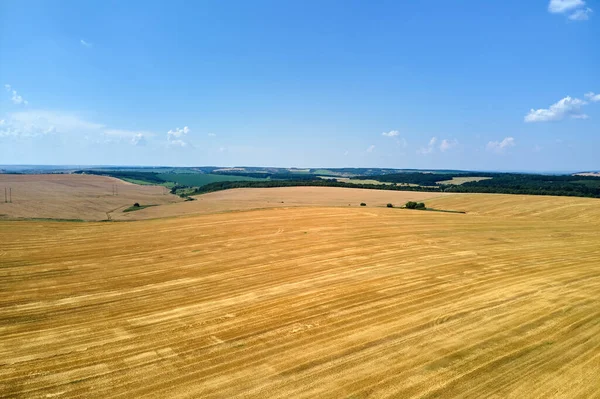 Buğday Hasadından Sonra Kuru Samanla Ekilmiş Sarı Tarım Arazisinin Havadan — Stok fotoğraf