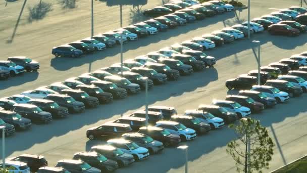 販売のために駐車多くのブランドの新しい車と地元のディーラーの大規模な駐車場 アメリカの自動車産業の発展と製造車の概念の流通 — ストック動画