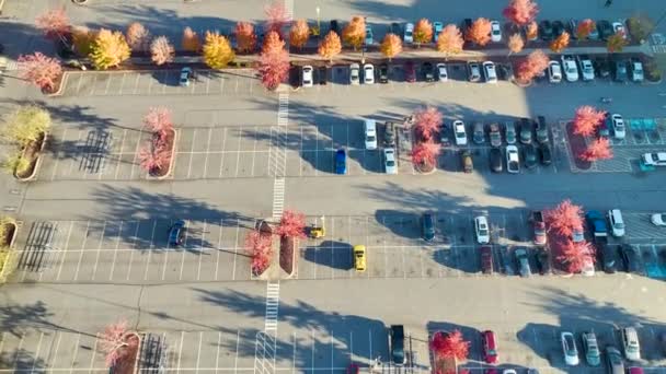 Κάτοψη Πολλών Αυτοκινήτων Σταθμευμένα Ένα Χώρο Στάθμευσης Μπροστά Από Μια — Αρχείο Βίντεο