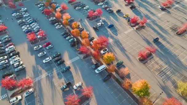 Aerial View Many Colorful Cars Parked Parking Lot Lines Markings — Stok Video