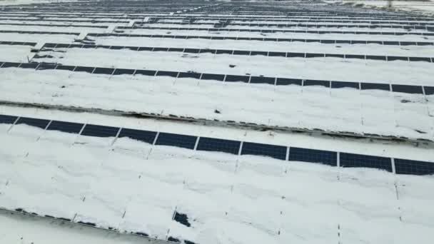 Aerial View Sustainable Electrical Power Plant Solar Photovoltaic Panels Covered — Stock video