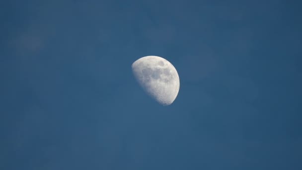 夜晚蓝天上 明亮的满月在快速移动的薄薄的云层后面 — 图库视频影像