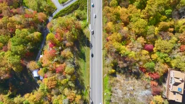 ノースカロライナ州の広い高速道路は 黄色の秋の森と高速移動交通とアパラチア山脈をリードしています アメリカ合衆国国立公園地域の観光ルート — ストック動画