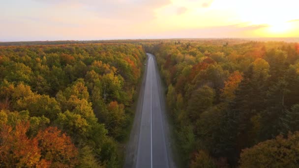 Letecký Pohled Venkovskou Silnici Mezi Svěžím Lesem Barevnými Baldachýny Podzimních — Stock video