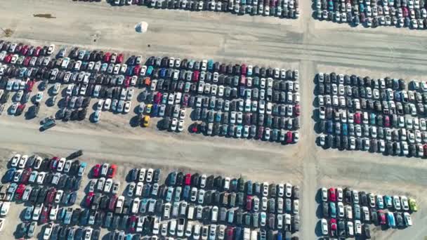 View Big Parking Lot Parked Used Cars Accident Ready Sale — Stock Video