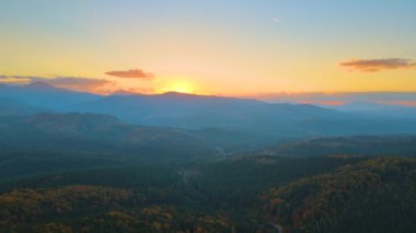 View from above of ukrainian Carpathian mountains with wooded hills at autumnal sunset. Brightly illuminated with setting sun pine woods in fall season.