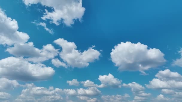 夏の青空に白いふわふわの積雲 雲の天気のパンニングショット — ストック動画