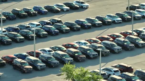 Sprzedawca Parkingu Wieloma Nowymi Samochodami Zaparkowanymi Sprzedaż Rozwój Amerykańskiego Przemysłu — Wideo stockowe