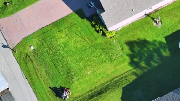 Professionell Servicearbetare Klipper Gräs Sommaren Med Gräsklippare Fordon Florida Förort — Stockvideo