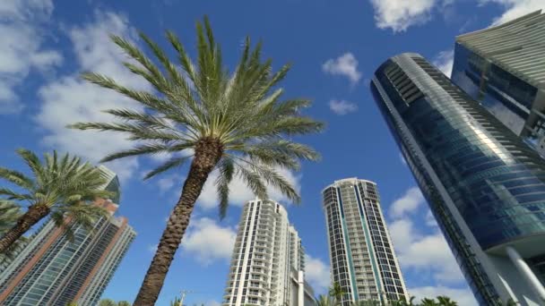 阳光岛海滩城 有豪华的高层酒店和公寓在大西洋海岸 佛罗里达南部的美国旅游基础设施 — 图库视频影像