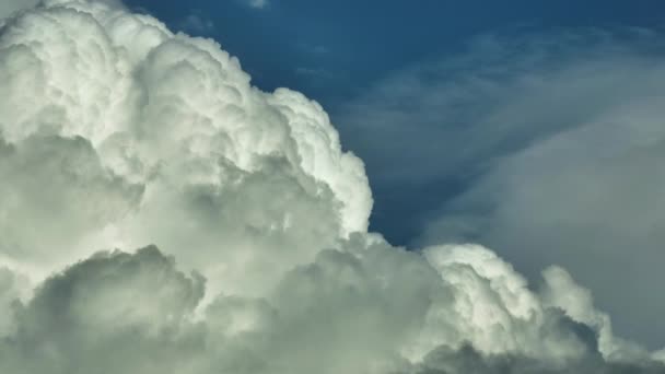 夏の青空に雷雨の前に形成される白いふわふわ積乱雲の時間経過 雲の中の天気の移動と変化 — ストック動画